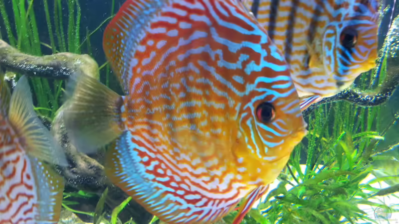 20.01.2012 von Dani B (32)