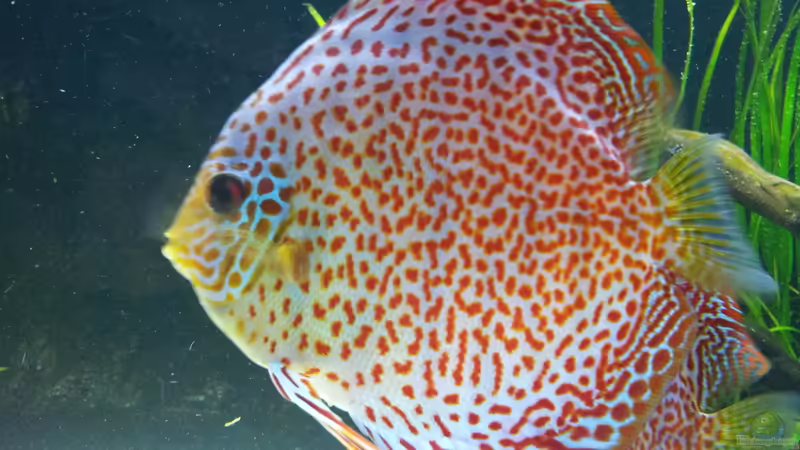 20.01.2012 von Dani B (36)