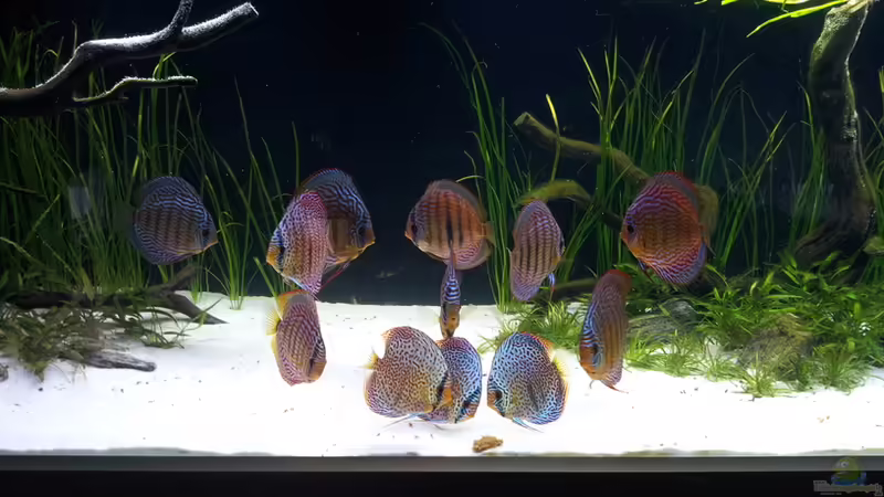 20.01.2012 von Dani B (37)