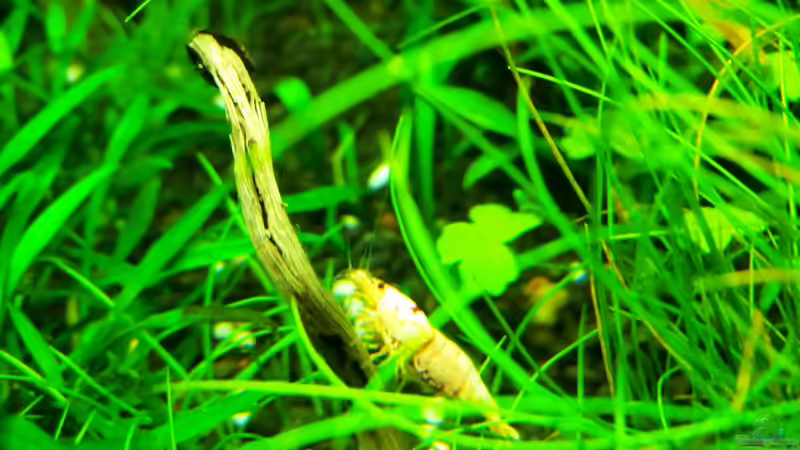 20.01.2013 von Walde (120)