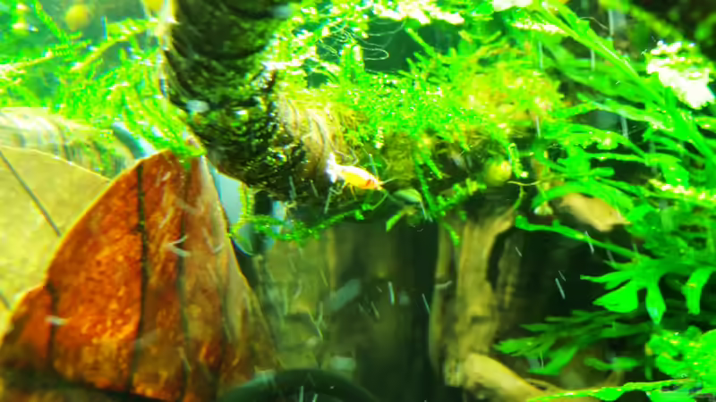 20.01.2013 von Walde (122)