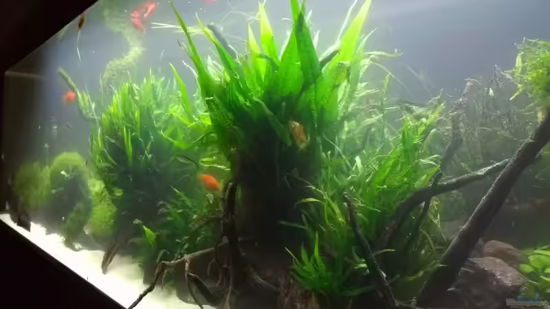 20.01.2018 von C-NA (13)