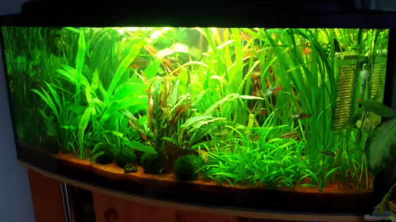 20.02.10 Frontansicht von ~Marco~ (16)