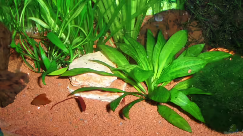 20.02.10 von ~Marco~ (5)