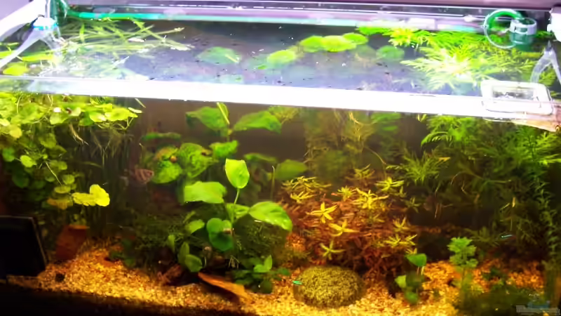 20.02.2009 von Jens J. (4)