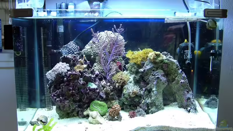 20.02.2009 von Merya (13)