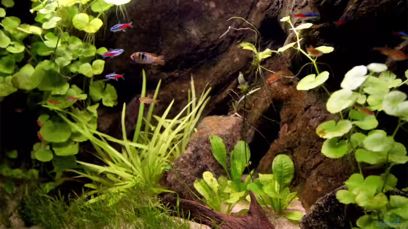 20.02.2010 von Maria Glas (5)