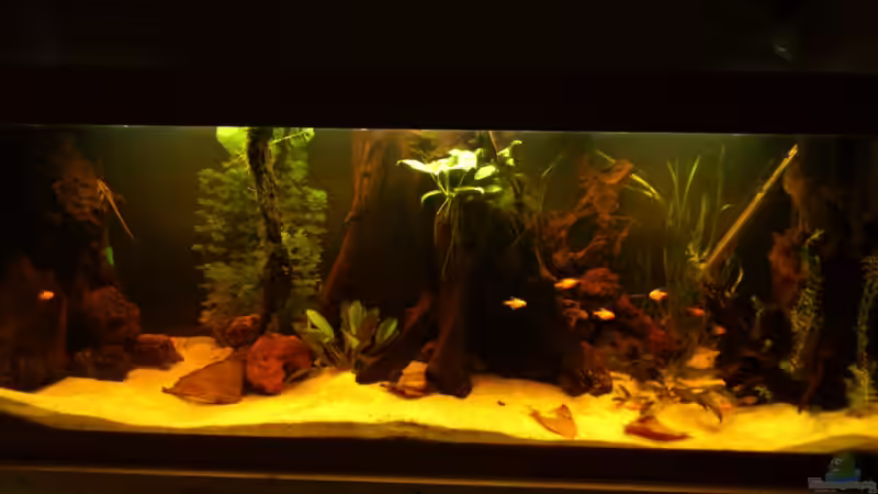 20.03.2013 So sieht es jetzt aus ;) siehe Update von Kai Heermann (4)