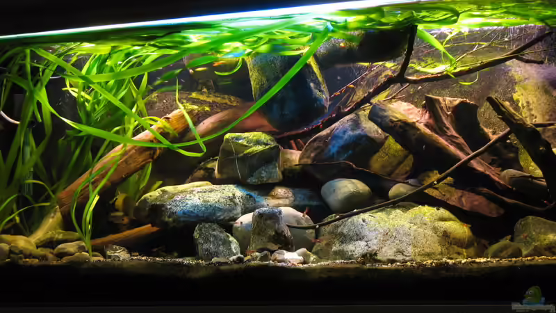 20.03.2014  von der Theoretiker (2)