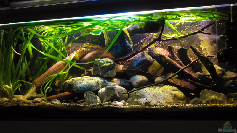 20.03.2014 eines der letzten Bilder von ´Erosion´ von der Theoretiker (1)