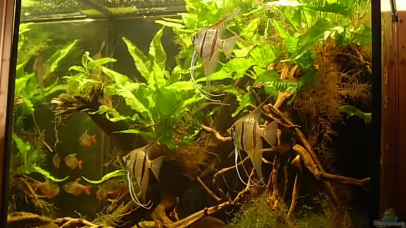 20.04.09 von Daniel_ (11)