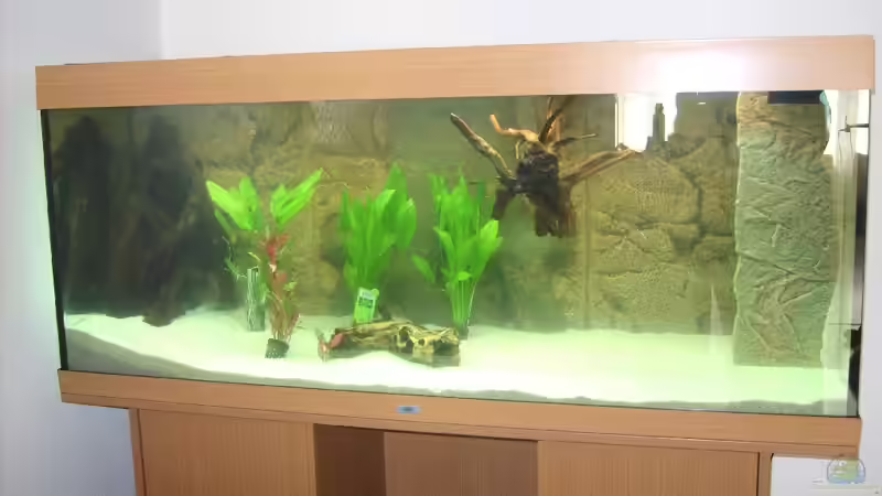 20.04.2010 von FranklinXQ (4)