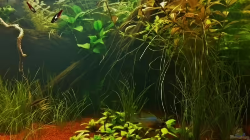 20.04.2013 von Mike Reimann (2)