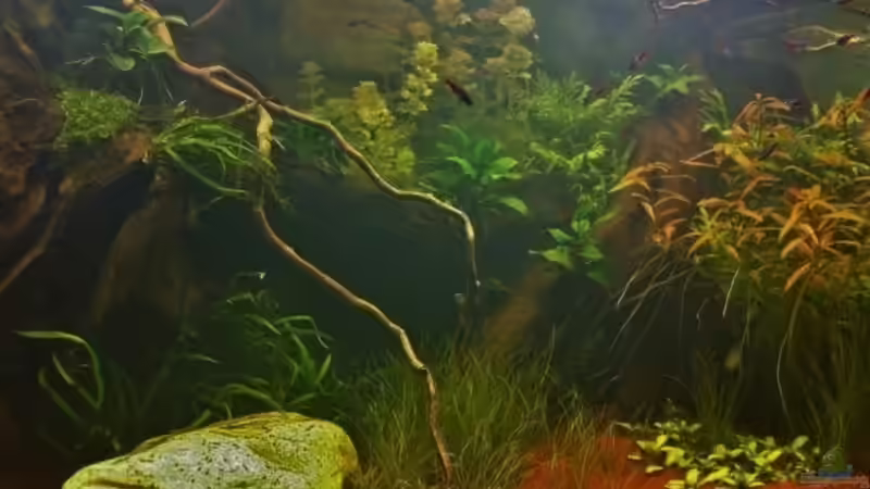 20.04.2013 von Mike Reimann (3)