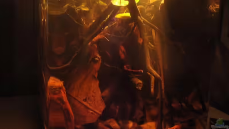 20.05.12 von Laura (4)