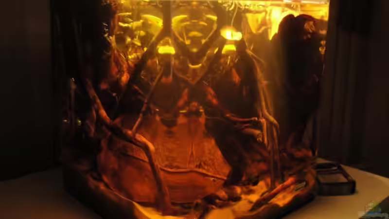 20.05.12 von Laura (5)