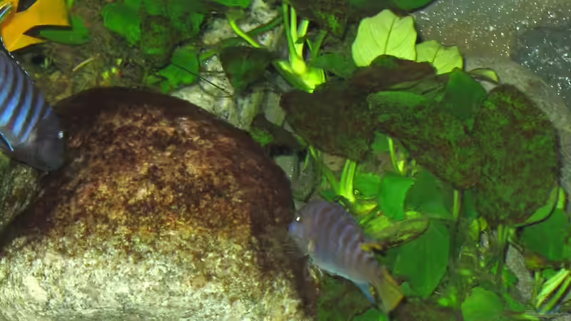 20.05.2010 von LaEy (84)