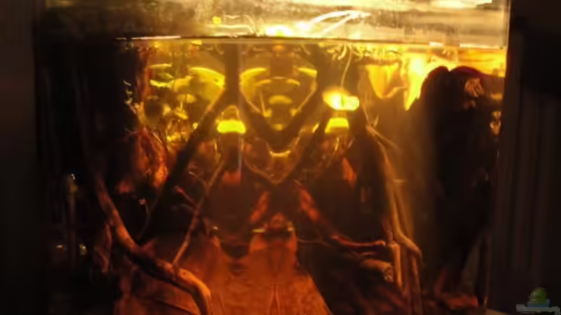 20.05.2012 von Laura (2)