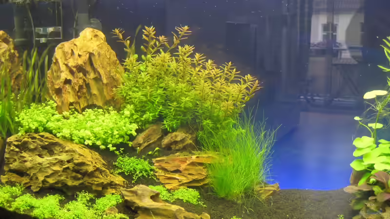 20.05.2013 Rechts von Ron Berlin (6)