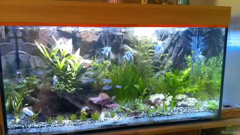 20.05.2014 von raubsau (18)