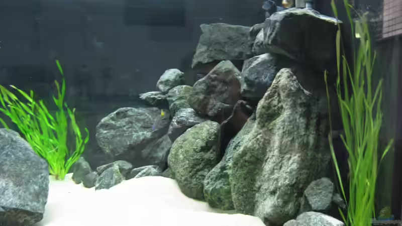 20.06.09 von Andi*Sehlde (29)