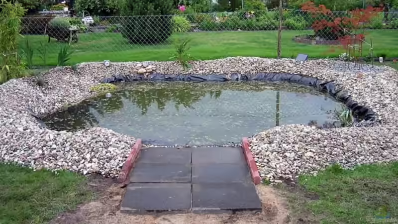 20.07.08 Neue Pflanzen eingepflanzt und Steine weiter verlegt. von Dennis V12 (8)