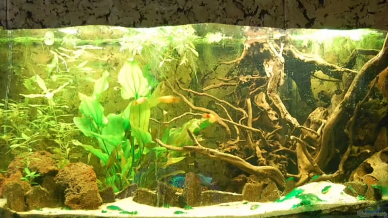 20.07.10 von ml69 (4)