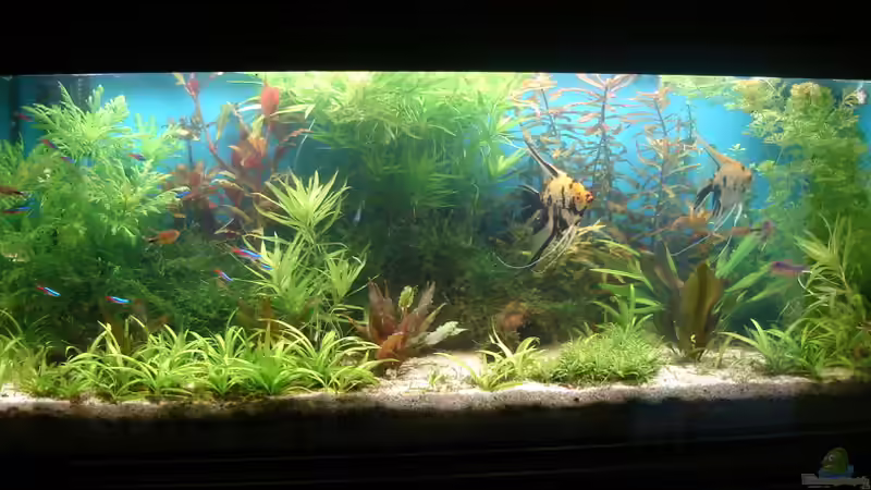 20.07.2010 von Susanne Kruse (6)