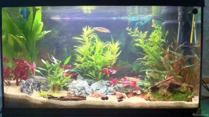 20.07.2011 die Halbschäbler-gang von Sebastian Philipp (34)