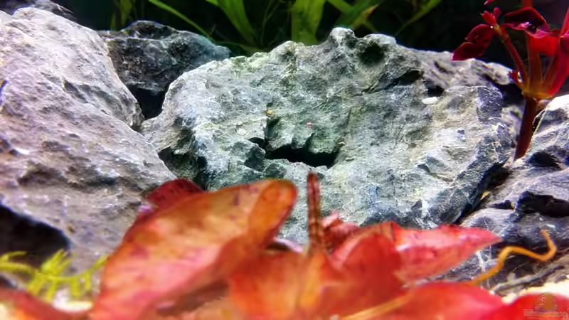 20.07.2011 von Sebastian Philipp (23)