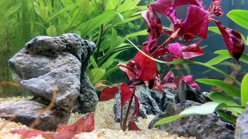 20.07.2011 von Sebastian Philipp (25)