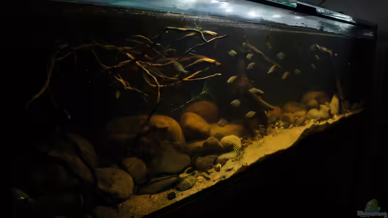 20.07.2014 von Laura (15)