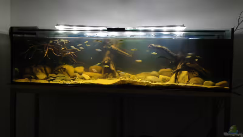 20.07.2014 von Laura (16)