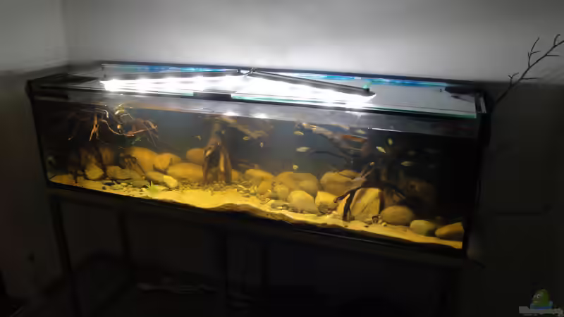 20.07.2014 von Laura (17)