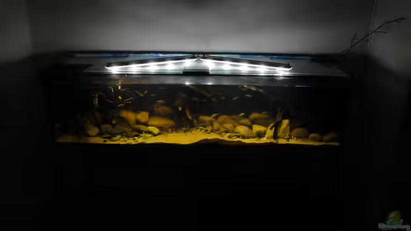 20.07.2014 von Laura (18)