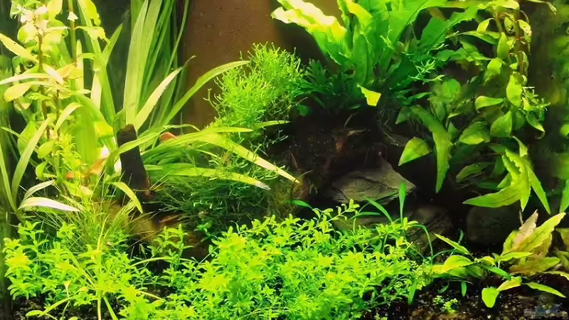 20.08.2010 20.08.2010