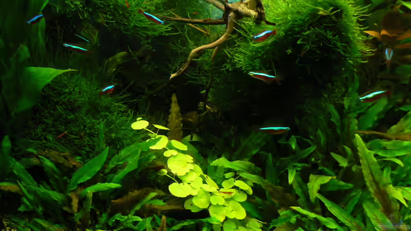 20.09.15 von Der Nicky (29)