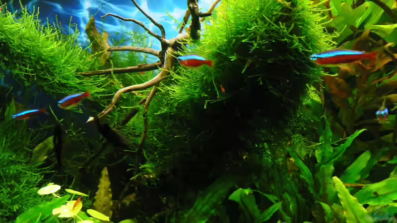 20.09.15 von Der Nicky (30)