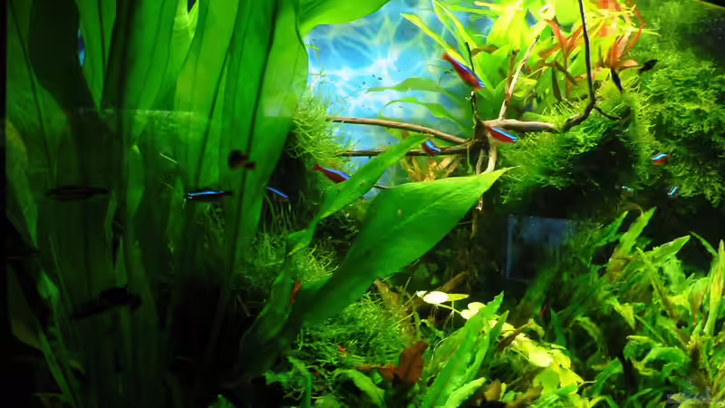 20.09.15 von Der Nicky (6)