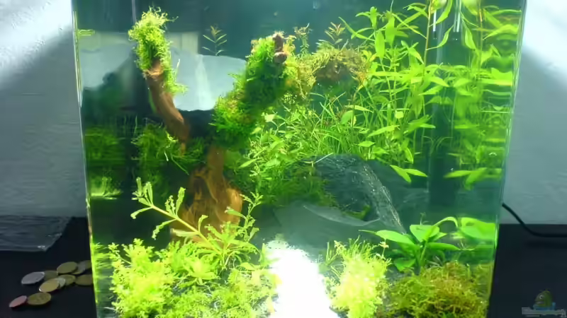 20.09.2008 von quickmike (2)