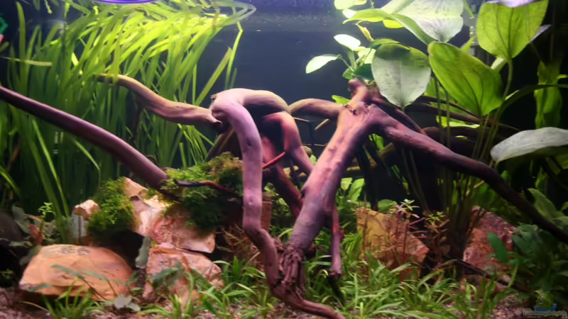 20.09.2012 Mitte von Mario K (16)