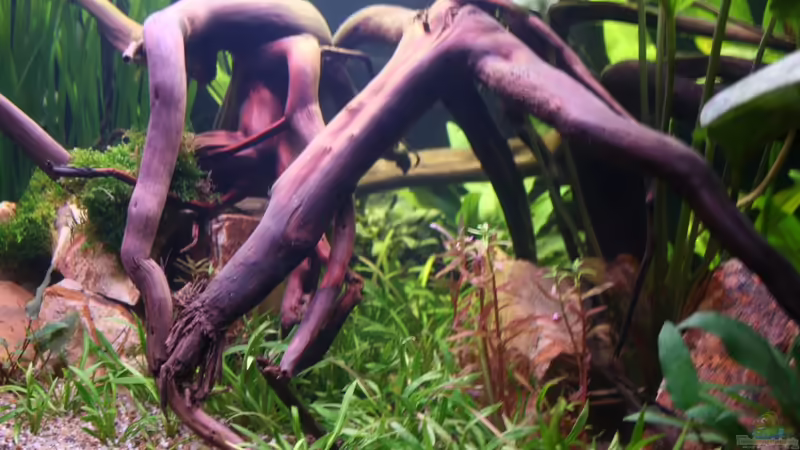 20.09.2012 Mitte von Mario K (17)