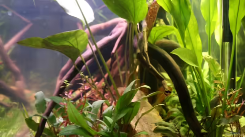 20.09.2012 Rechte Seite von Mario K (6)