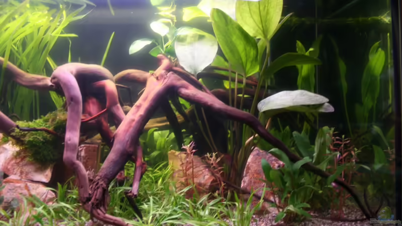 20.09.2012 Rechts von Mario K (18)