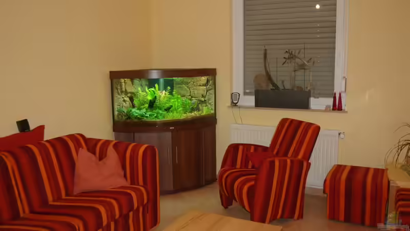 20.10.12 Unser Juwel Trigon 350 im Wohnzimmer von Sven Seibert (22)