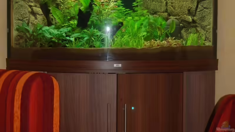 20.10.12 Unser Juwel Trigon 350 in der Wohnzimmerecke von Sven Seibert (23)