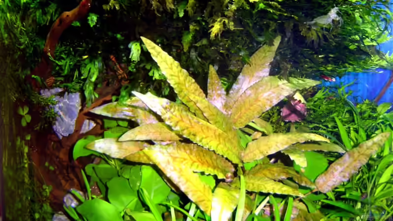 20.10.2006 von David Weidenbacher (39)