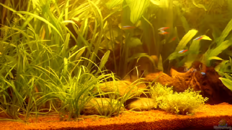 20.10.2006 von Thomas Kurth (2)