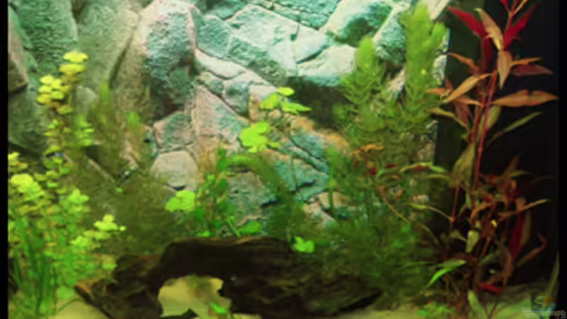 20.10.2008 von Michaela (13)