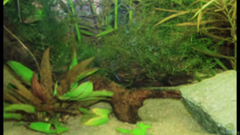 20.10.2008 von Michaela (14)